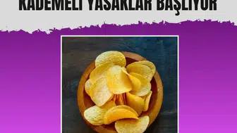 Cips ve soslarda tütsü aroması kullanımı kademeli olarak yasaklanıyor