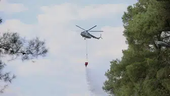 Muğla'da ormanlık alanda yangın çıktı: ekipler alarma geçti