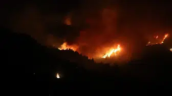 Cezayir'deki orman yangınlarında 12 kişi hayatını kaybetti