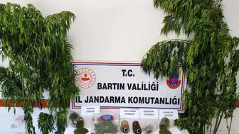 Bartın'da uyuşturucu operasyonu: 1 kişi gözaltına alındı