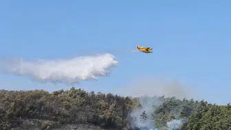 Rüzgarla büyüyen yangın ormana ulaştı: Bölgeye uçak ve helikopterler sevk edildi