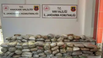 İki ilde uyuşturucu operasyonu: 265 kilo skunk ele geçirildi