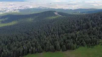 Dürbünlü gözetleme ve fotokapanlar iş başında: Yeşil vatan geçit vermiyor