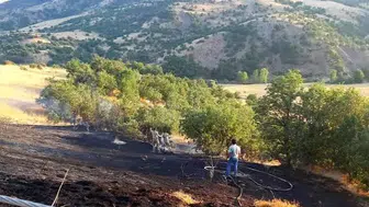 Bingöl'de otluk alanda yangın çıktı, ekipler büyümeden söndürdü