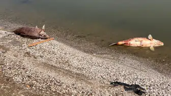 Sular çekildi, felaket gün yüzüne çıktı: Tekirdağ'da ekipler harekete geçti