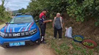Jandarmadan fındık üreticisine tam destek: 7/24 kesintisiz hasat nöbeti