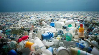 Türkiye'nin plastik haritası yeniden çiziliyor: İstanbul'da kritik zirve