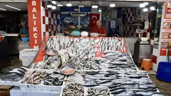 Denizde 'Vira Bismillah' heyecanı: Sezonun ilk palamutları kıyıya indi