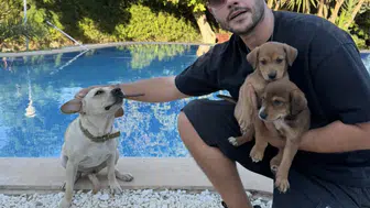 Cem Belevi barınaktan iki köpek sahiplendi