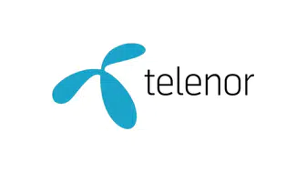 Norveçli telekom şirketi Telenor'a soruşturma: Myanmar'da insanlık suçu işlemiş olabilir