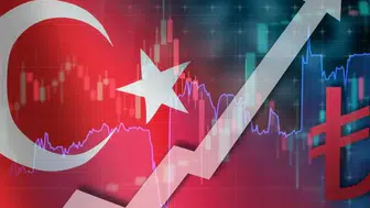 Yeni OVP'de TROY ve dijital Türk lirası için yeni adımlar