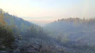 Antalya'da orman yangını: ekipler sabaha kadar alevlerle savaştı