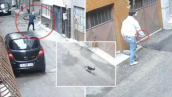Bursa'da vicdanları yaralayan görüntü: Baba ve oğlu kedi mamalarını çöpe attı