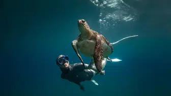 Sualtında kritik mesaj: Milli sporcu deniz kaplumbağaları için sualtına daldı
