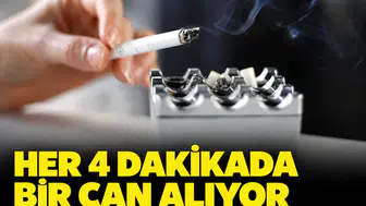 Her 4 dakikada bir can alıyor: Türkiye ölüm oranlarında dünyada ilk sırada