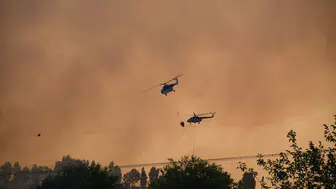 Adana'da korkutan orman yangını: Yerleşim yerleri tahliye ediliyor!