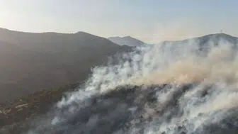 Bingöl Orman İşletme ekiplerinden yangına hızlı müdahale