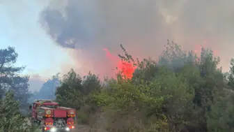 Kozan'da korkutan orman yangını: Tahliyeler başladı, ekipler alarmda