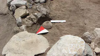 Sadece Ankara'da açan Sevgi Çiçeği'nin en eski izleri Külhöyük'te tespit edildi