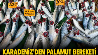 Karadeniz'den palamut bereketi: Tanesi 100 lirayı gören sıraya girdi