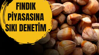 Ticaret Bakanlığından iki ilde fındık piyasasına inceleme: Müfettişler görevlendirildi