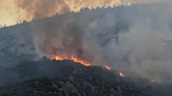 Orman yangını soruşturmalarında yeni kararlar: Tutuklamalar var