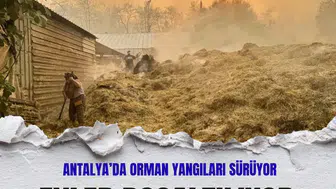 Antalya'da orman yangınları mahallelere sıçradı: Evler tahliye edildi