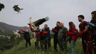 Hatay'da tedavileri tamamlanan 22 kuş yeniden doğaya bırakıldı