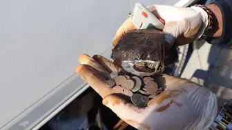 Tarihi miras sınırda kurtarıldı: Tır dolaplarından servet çıktı