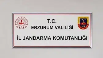 Erzurum'da siber suçlardan 25 şahıs hakkında adli işlem başlatıldı