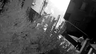 Osmaniye’de motosikletle köpek kovalamacası ve çalınması