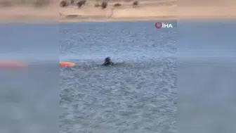 Bilecik'te balık tutmaya gidenlerin aracı baraja düştü