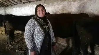 Erzurum'un Hınıs ilçesinde 'Kırsalda Bereket' projesiyle ilk buzağılar doğdu