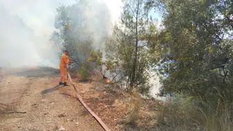 Bursa'nın Keles ilçesinde orman yangını alarmı verildi