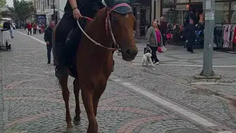 Edirne'de atıyla caddeye çıkan kadın vatandaşları şaşırttı
