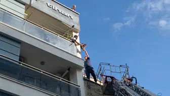 Aydın'da çatıya kaçan kedi itfaiye ekiplerince kurtarıldı