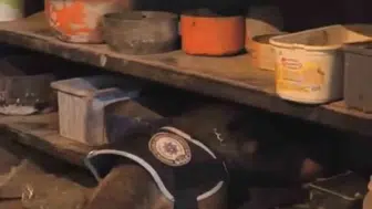 Bingöl’de uyuşturucu operasyonunda 1 kişi tutuklandı