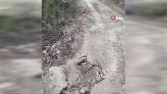 Gercüş'te kontrolden çıkan vinç şarampole yuvarlandı, 1 yaralı