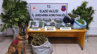 Elazığ'da uyuşturucu operasyonunda 3 kişi tutuklandı