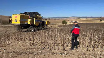 Aslanapa'da yüzde 75 hibeli ayçiçeği hasat kontrolü yapıldı