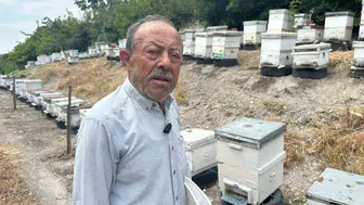 75 yaşındaki emekli başgardiyan 20 yıldır Avrupa’ya bal gönderiyor