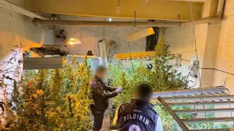 Bursa'da kasap dükkanının bodrum katından uyuşturucu serası çıktı