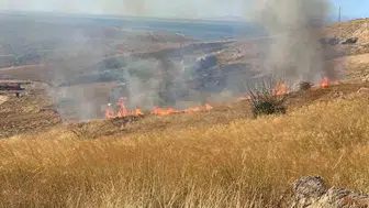 Çanakkale'nin Bozcaada ilçesinde otluk alanda yangın kontrol altına alındı