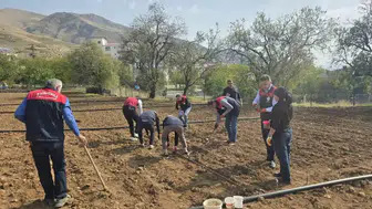 Tunceli'de 70 yaşındaki üreticinin sarımsak tarlasına tarım ekipleri el attı