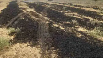 Kovancılar'da anız yangını kontrol altına alındı