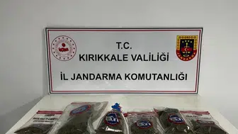 Narkotik köpeği 'Evin' uyuşturucuyu tespit etti: Bahçede kenevir ve esrar ele geçirildi