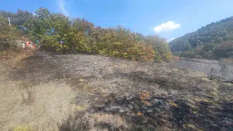Bolu’nun Mudurnu ilçesinde ot yangını büyümeden kontrol altına alındı