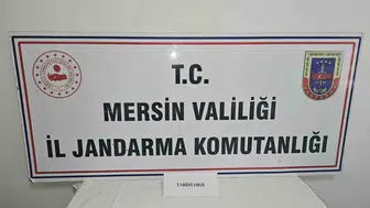 Mersin’de tarihi eser kaçakçılığı yapan şahıs yakalandı