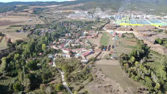 Osmanlı mutfağının vazgeçilmezi üryani eriği hasat edildi