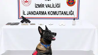 İzmir Urla'da jandarmadan uyuşturucu operasyonu: Firari hükümlü tutuklandı